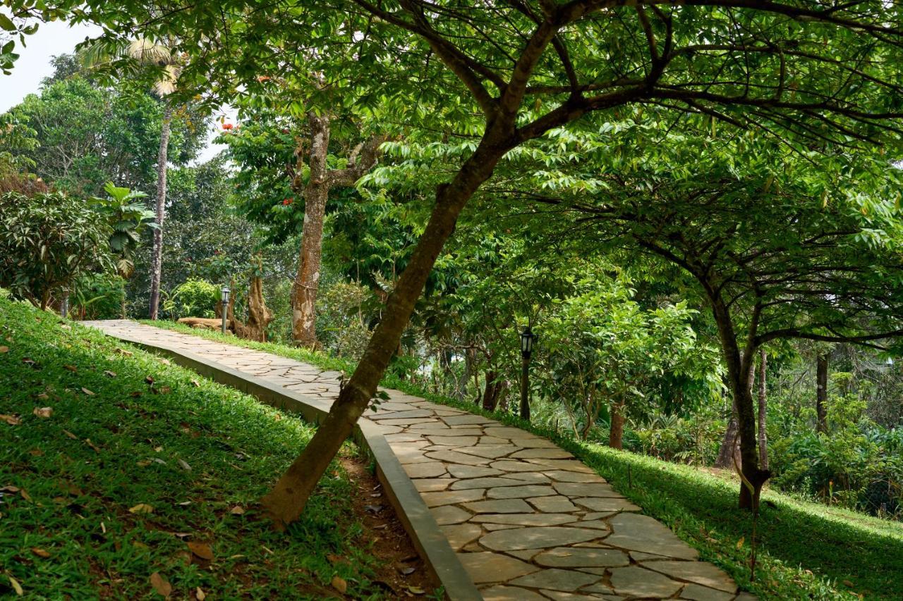 Haze And Kites Resort Munnar Kültér fotó