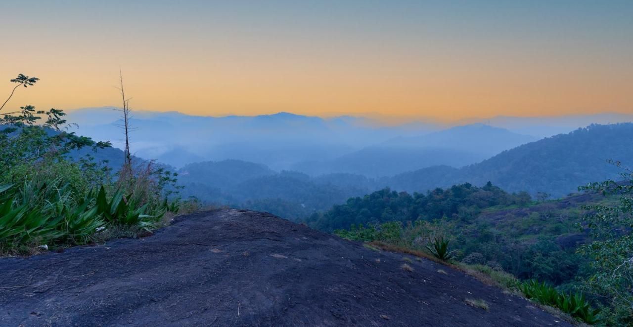 Haze And Kites Resort Munnar Kültér fotó
