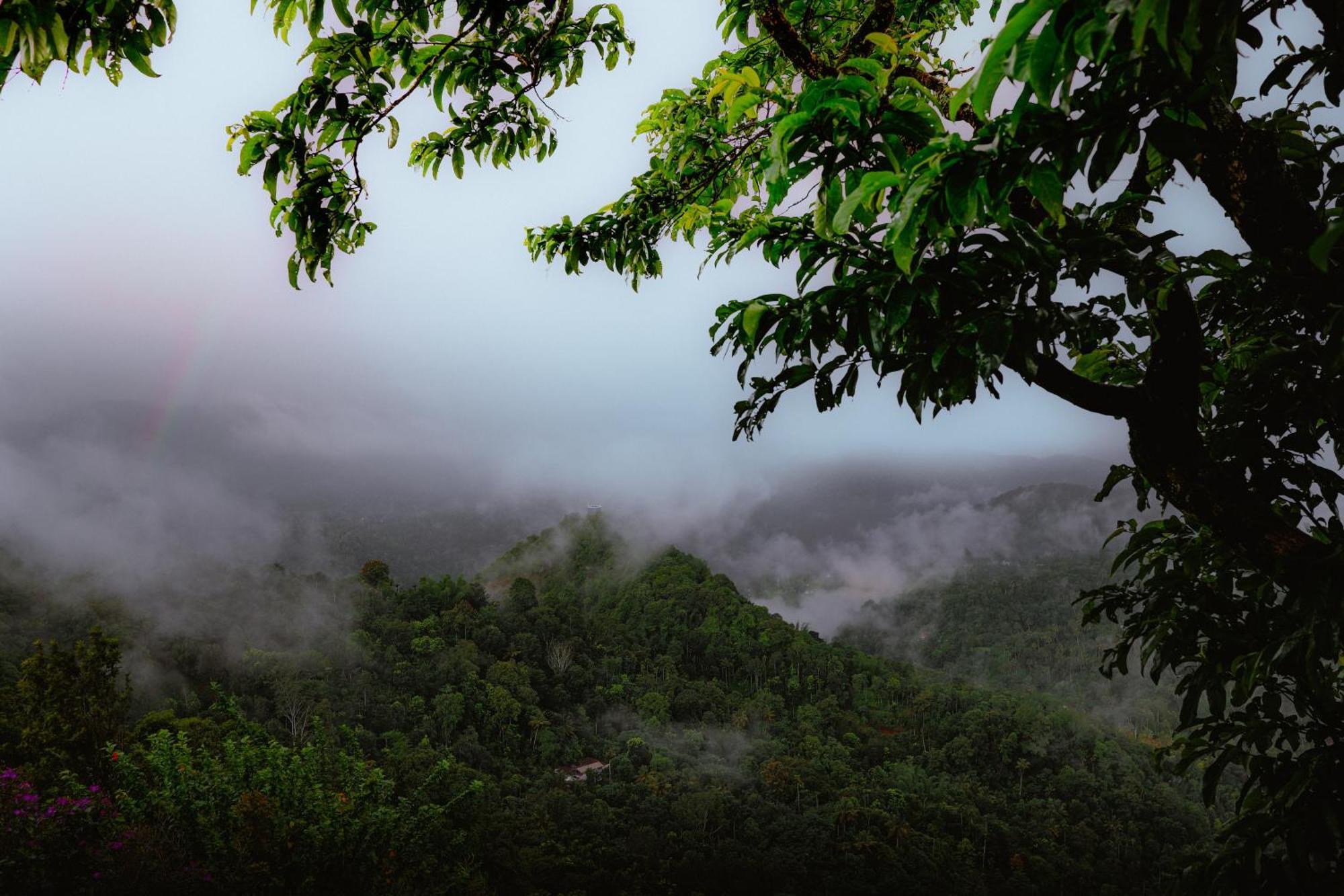 Haze And Kites Resort Munnar Kültér fotó