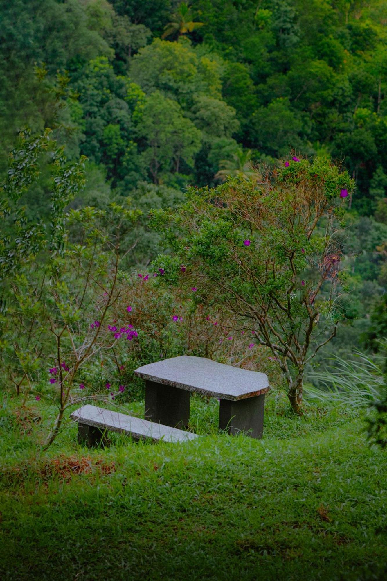Haze And Kites Resort Munnar Kültér fotó