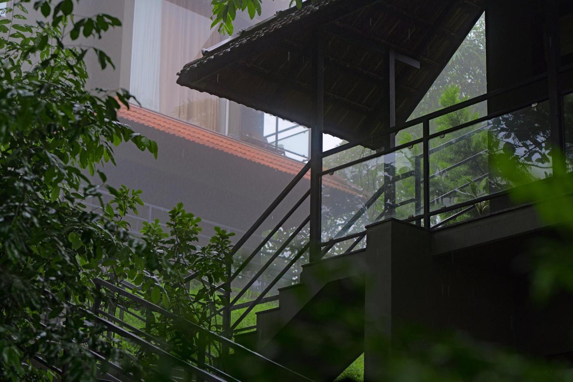Haze And Kites Resort Munnar Kültér fotó