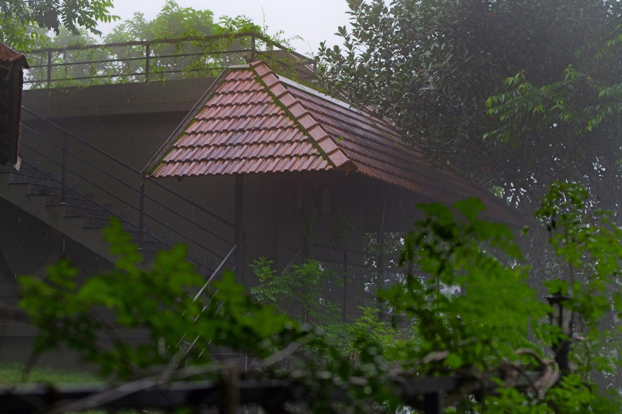 Haze And Kites Resort Munnar Kültér fotó